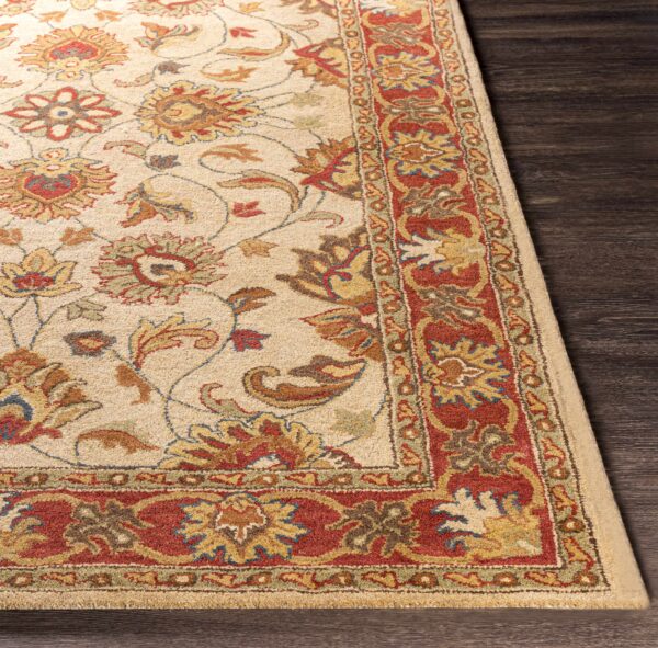 Cherryfield Hand Tufted Brown & Rust 1001 Wool Rug - Image 4