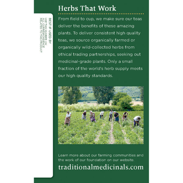 Traditional Medicinals Raspberry Leaf Tea (6x16 Bag) - Image 5