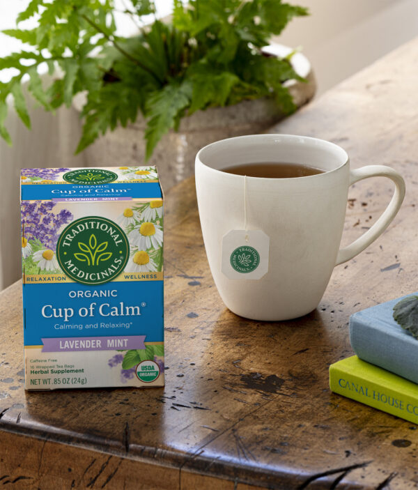 Traditional Medicinals Easy Now Herb Tea (6x16 Bag) - Image 5