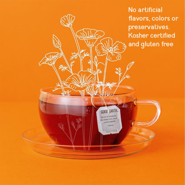 Good Earth Herbal Tea Sweet & Spicy (6x18 BAG ) - Image 8