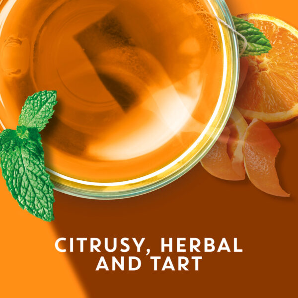 Tazo Tea Herbal Wild Sweet Orange Tea (6x20 Bag) - Image 4