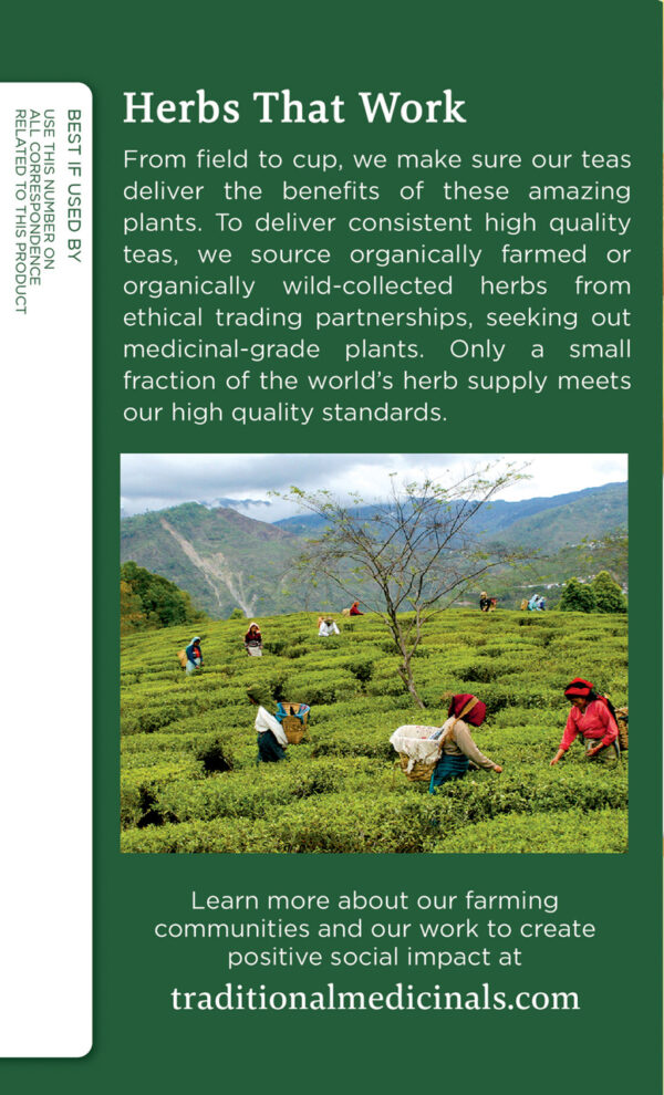 Traditional Medicinals Golden Ginger Tea (6x16 Bag) - Image 3