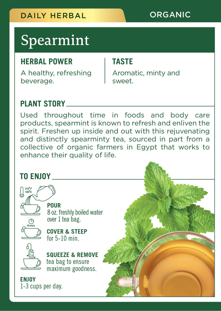 Traditional Medicinals Spearmint Tea (6x16 Bag) - Image 2