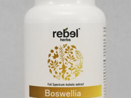 Boswellia Dual Extracted Powder