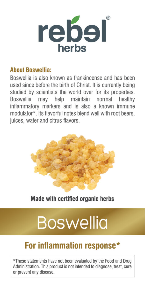 Boswellia Dual Extracted Powder - Image 3