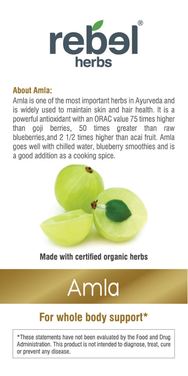 Amla Dual Extracted Powder - Image 3