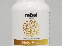 Holy Basil Dual Extracted Powder