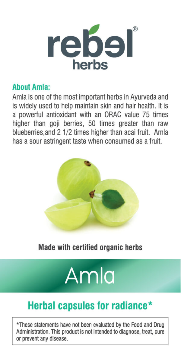 Amla Capsules - Image 3