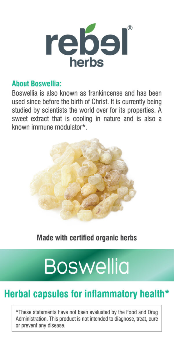 Boswellia Capsules - Image 3