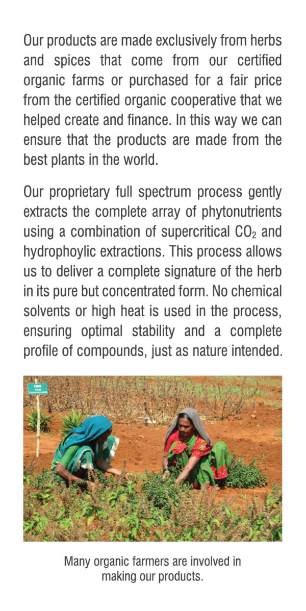 Boswellia Capsules - Image 4