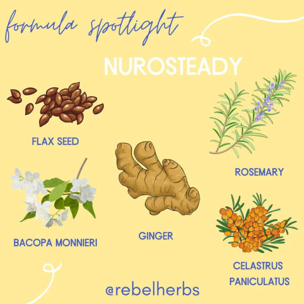Rebel Herbs Organic NuroSteady 60 Capsules - Image 2