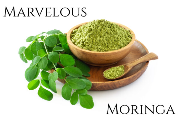 Moringa Dual Extracted Powder - Image 5