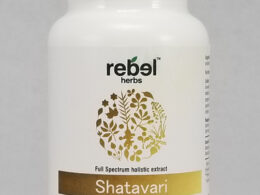Shatavari Dual Extracted Powder