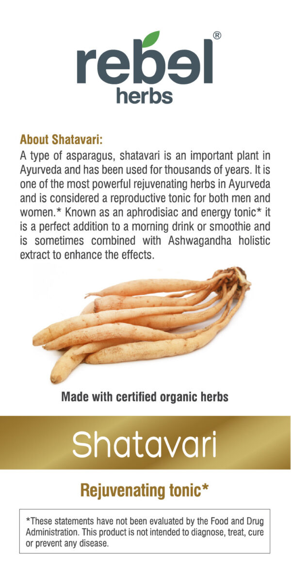 Shatavari Dual Extracted Powder - Image 3