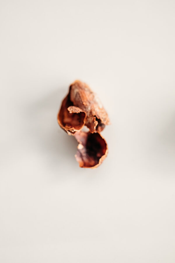 Reishi & Hawaiian Cinnamon Cacao Tea - Image 5