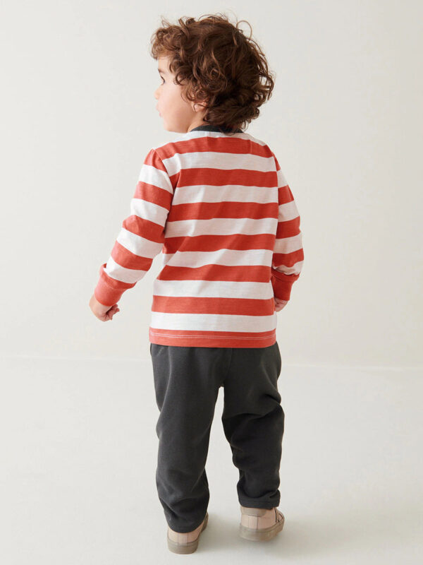 Arrival Spring And Autumn Boys Casual Appliqué Embroidery Lion And Striped Pattern Long Sleeves Top T-Shirt And Pants Clothing Set - Image 4