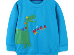 Baby Boy Cartoon Dinosaur & Slogan Pattern Pullover Hoodies