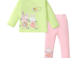 Arrival Spring And Autumn Girls Casual Appliqué Embroidery Rabbits Pattern Long Sleeves Top T-Shirt And Pants Clothing Set