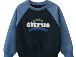 Autumn Baby Kids Boys Letters Pattern Color Patchwork Long Sleeves Crew Neck Top Pullover