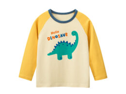 Autumn Baby Kids Unisex Letters and Dinosaur Print Color Patchwork Long Sleeves Crew Neck Base Top Shirt