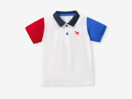 Summer New Design Kids Boys Dinosaur Logo Short Sleeves Color Patchwork Polo Shirt