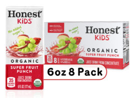 OG2 HON KIDS FRUIT PUNCH ( 5 X 8 PACK )