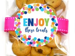 Chocolate Chip Cookies Snack Pack