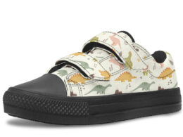 Kids Shoes Low Tops Dinosaurs