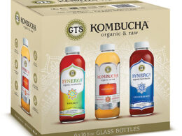 GTS Organic Kombucha 6 Pack Variety