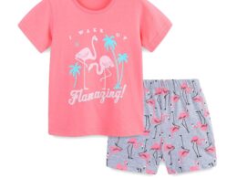 Summer Baby Kids Cute Flamingo Pattern T-shirt and Shorts Clothing Set for Girls