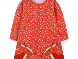 Baby Girl Ditsy Flower Graphic Embroidered Design Long Sleeve Dress