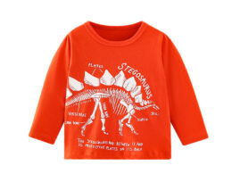 Baby Boy Cartoon Dinosaur Pattern Long Sleeve Cool Shirt