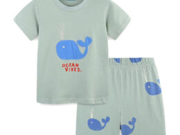 Summer Baby Kids Cartoon Animals Pattern T-shirt and Shorts Color Patchwork Clothing Set for Boys