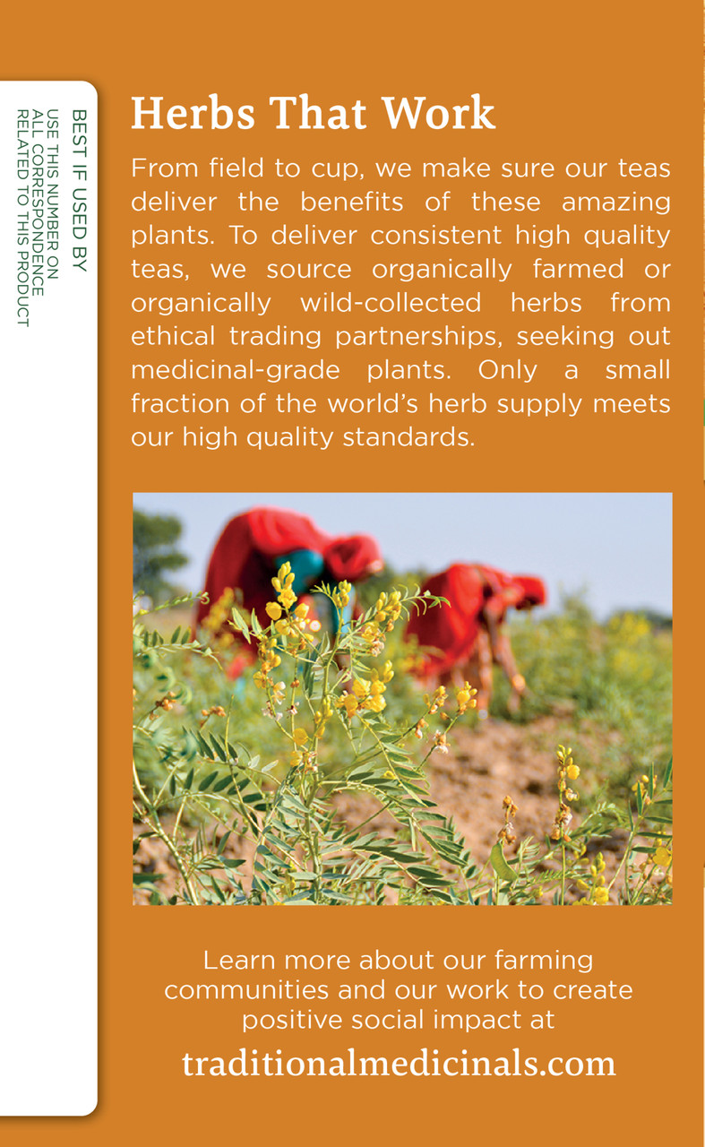 Traditional Medicinals Ginger Aid Herb Tea (6x16 Bag) - Image 3