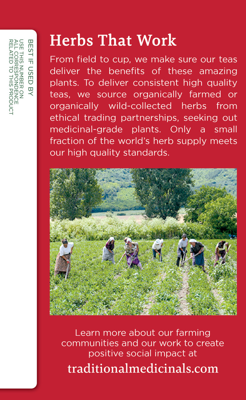 Traditional Medicinals Lemon Echinacea Throat Herb Tea (6x16 Bag) - Image 3