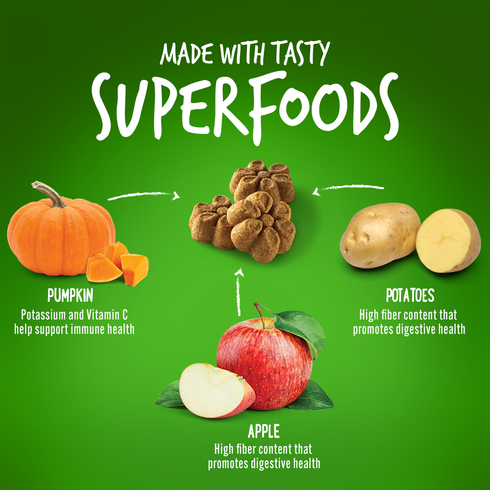 Fruitables Pumpkin & Apple Mix Dog Treats (8x7 Oz) - Image 2