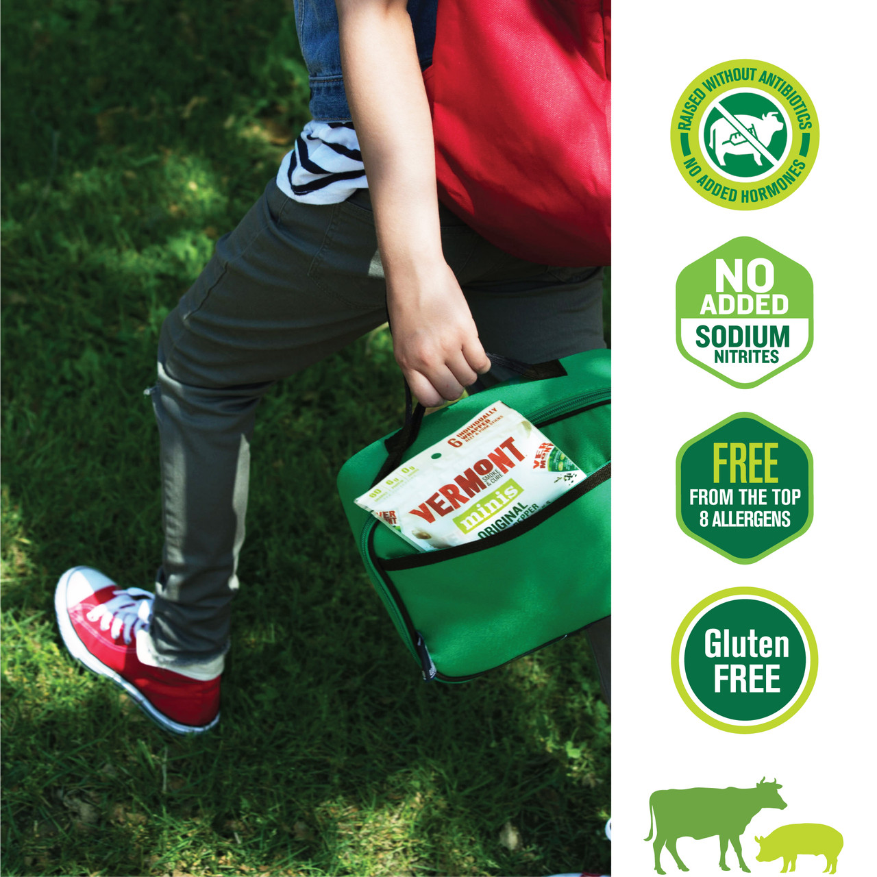 VSC BEEF AND PORK STICK ( 8 X 6 PACK ) - Image 3