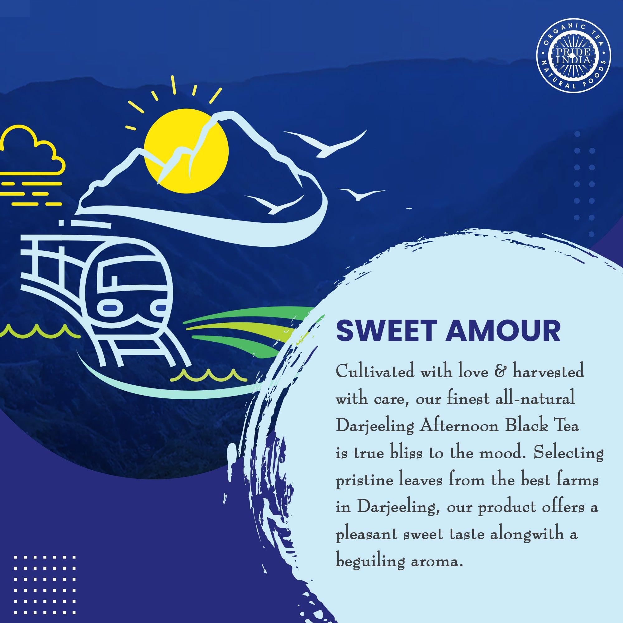 Darjeeling Amber - Afternoon Black Tea Bags - Image 3