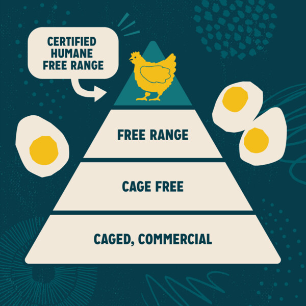 SIR KEN GOCHU EVRYTG SCE ( 6 X 8.3 OZ ) - Image 2