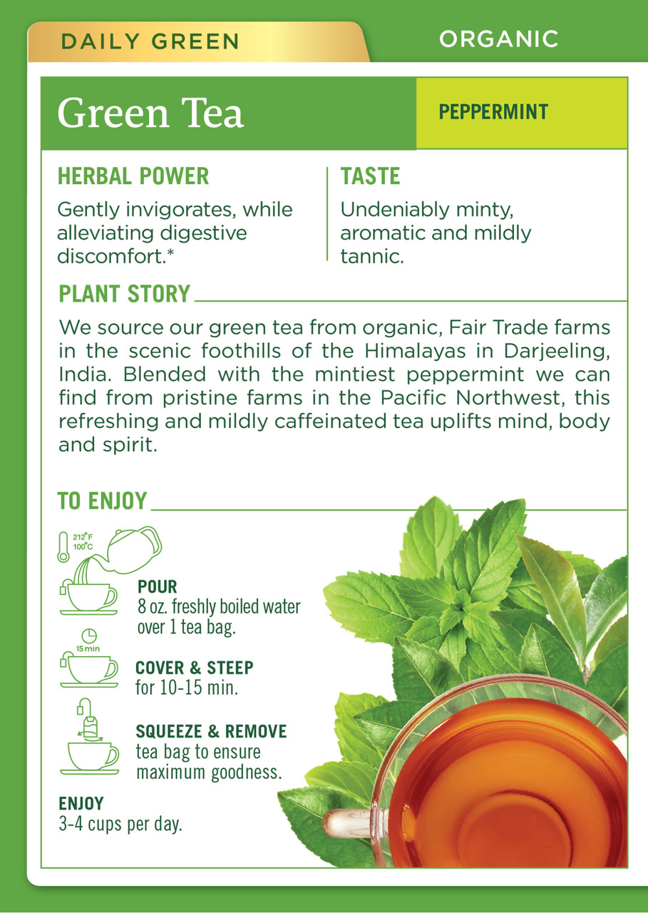 Traditional Medicinals Organic Peppermint Green tea 16 Tea Bags (Pack of 6 Boxes) - Image 2