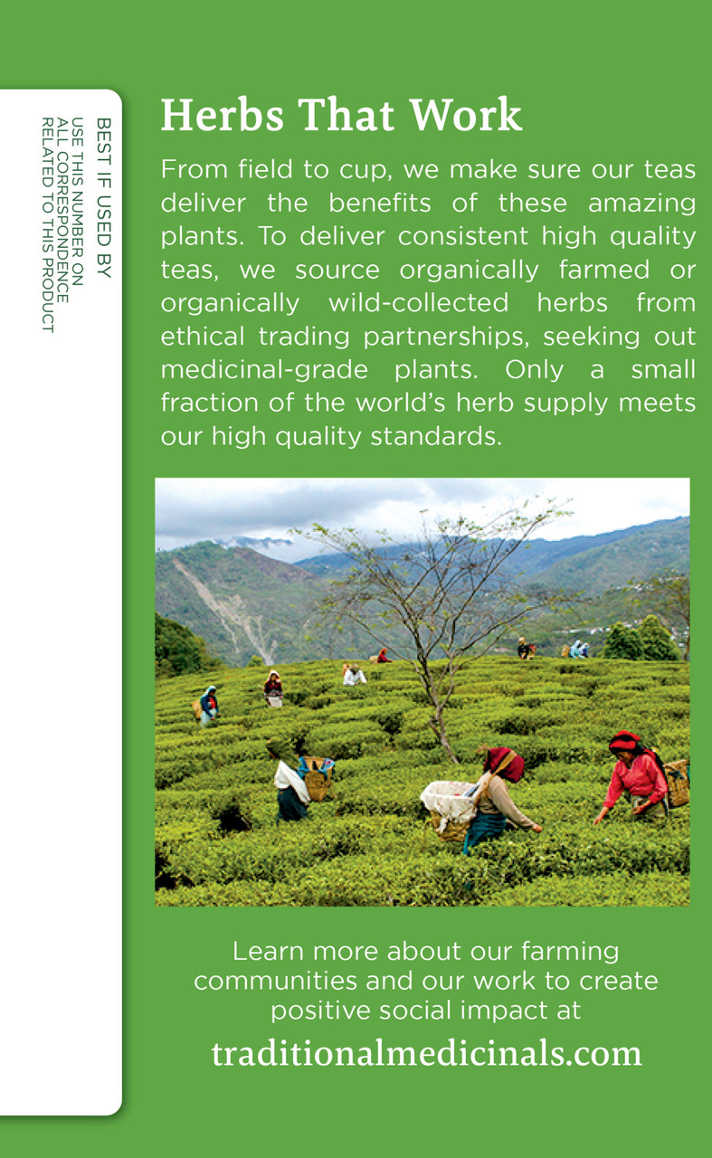 Traditional Medicinals Green Tea With Ginger (6x16 Bag) - Image 3