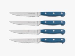 Superior Set of 4 Steak Knives - Royal Blue
