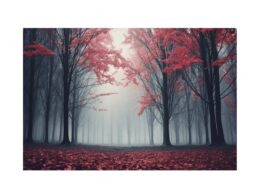 Scarlet Forest Canvas Art Print