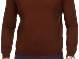 Sam Jacobi Men's Pullover Brown Knitted Sweater Crewneck Stylish Knitwear Long Sleeve Casual Slim Fit