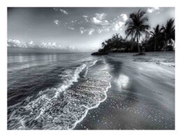 Beach  black & white Canvas Art Print