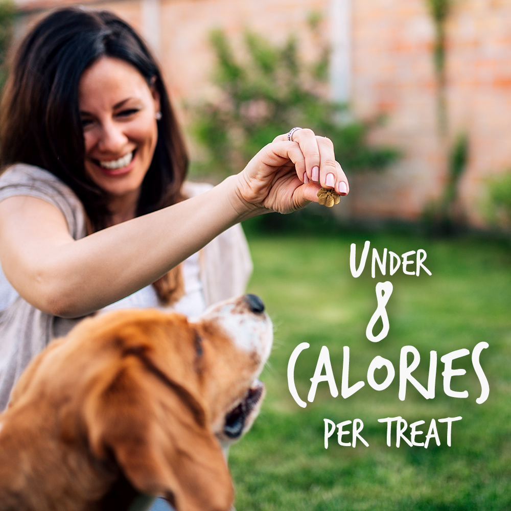 Fruitables Pumpkin & Apple Mix Dog Treats (8x7 Oz) - Image 3