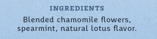 Stash Tea Herbal Chamomile Night Tea (6x20 CT) - Image 9