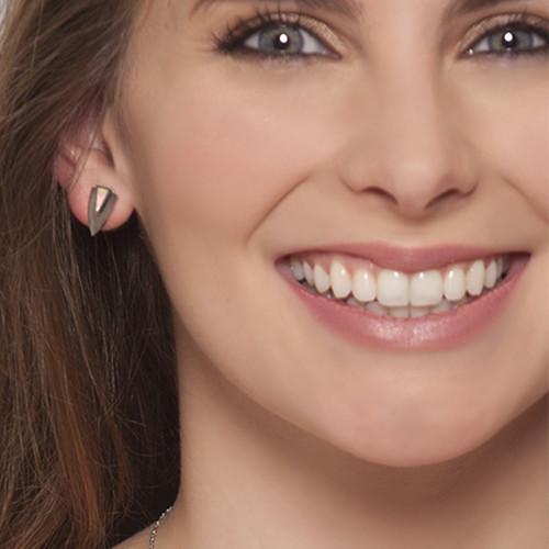 Chevron Earrings- Silver - Image 2