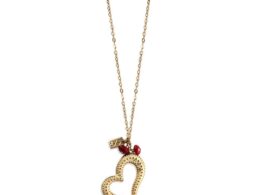 The Heart Necklace