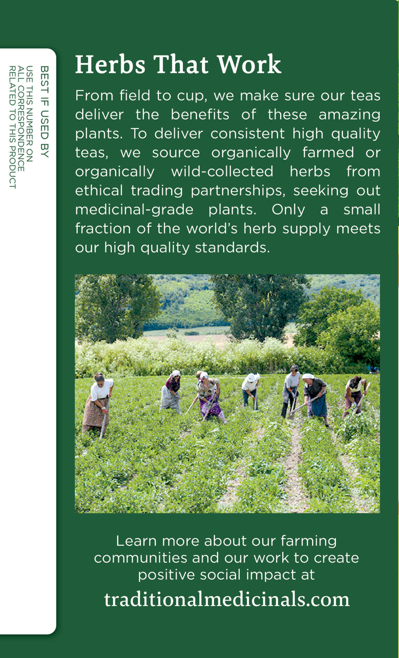 Traditional Medicinals Lemon Balm Tea (6x16 Bag) - Image 3